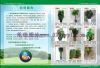 广州市办公室绿植租售请找苑雅园林